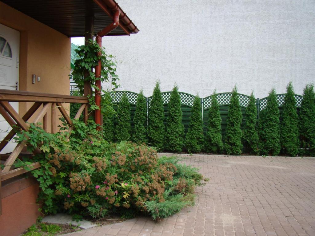 Apartament Centrum Apartment Augustow